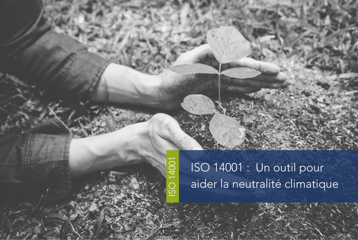 Atteindre la neutralité climatique grâce à ISO 14001
