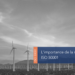 Un groupement d'éoliennes dans un champ