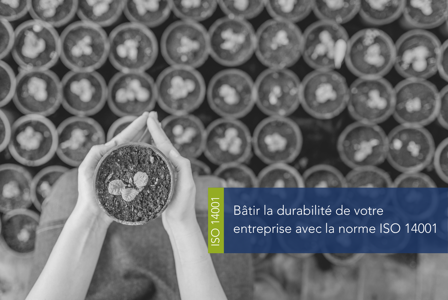 Assurez la durabilité de votre entreprise grâce à ISO 14001
