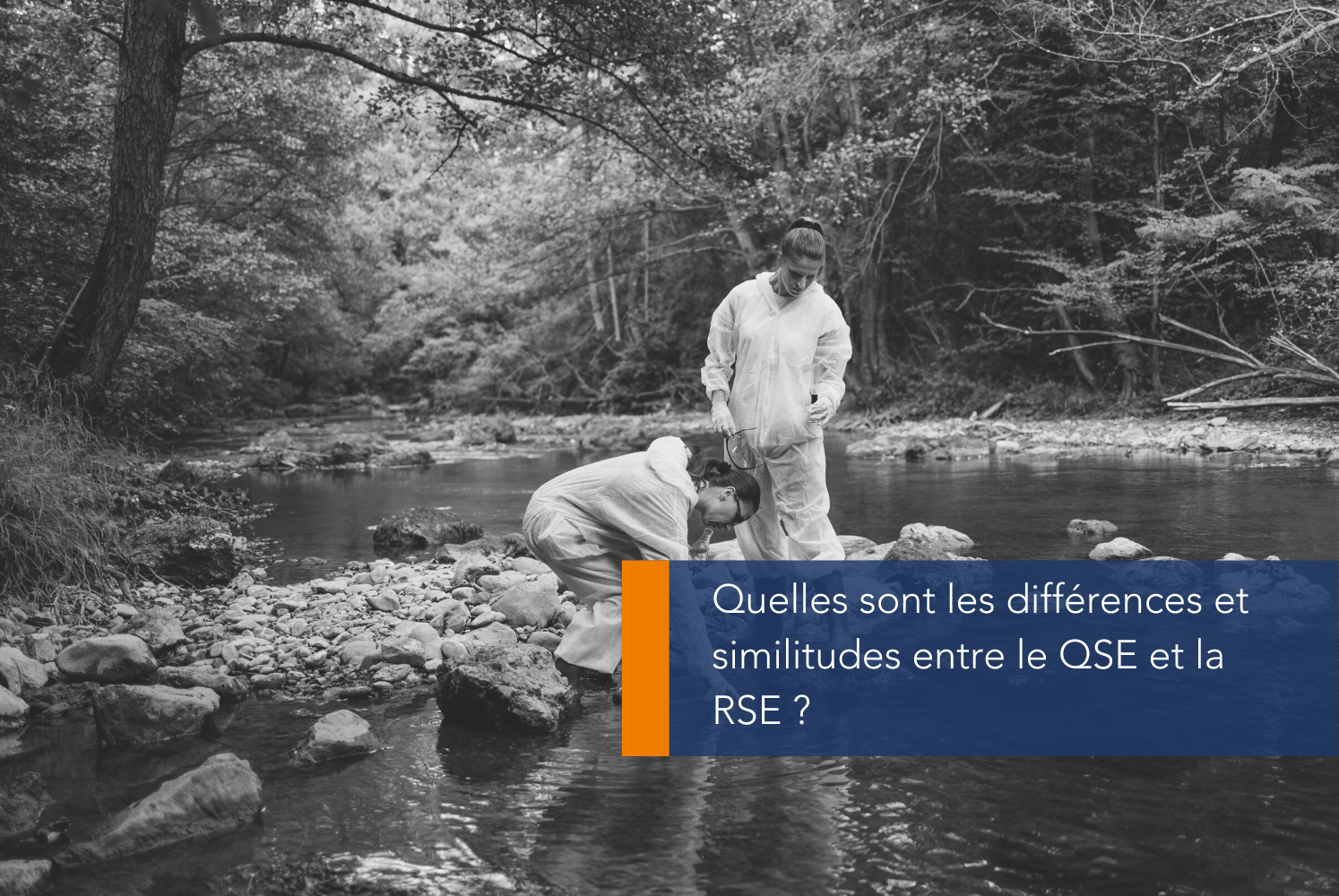 QSE et RSE : Les différences stratégiques pour un impact durable