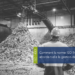 Un homme dans une usine regarde une pile de déchets