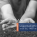 Mains dans la terre qui tiennent une plante