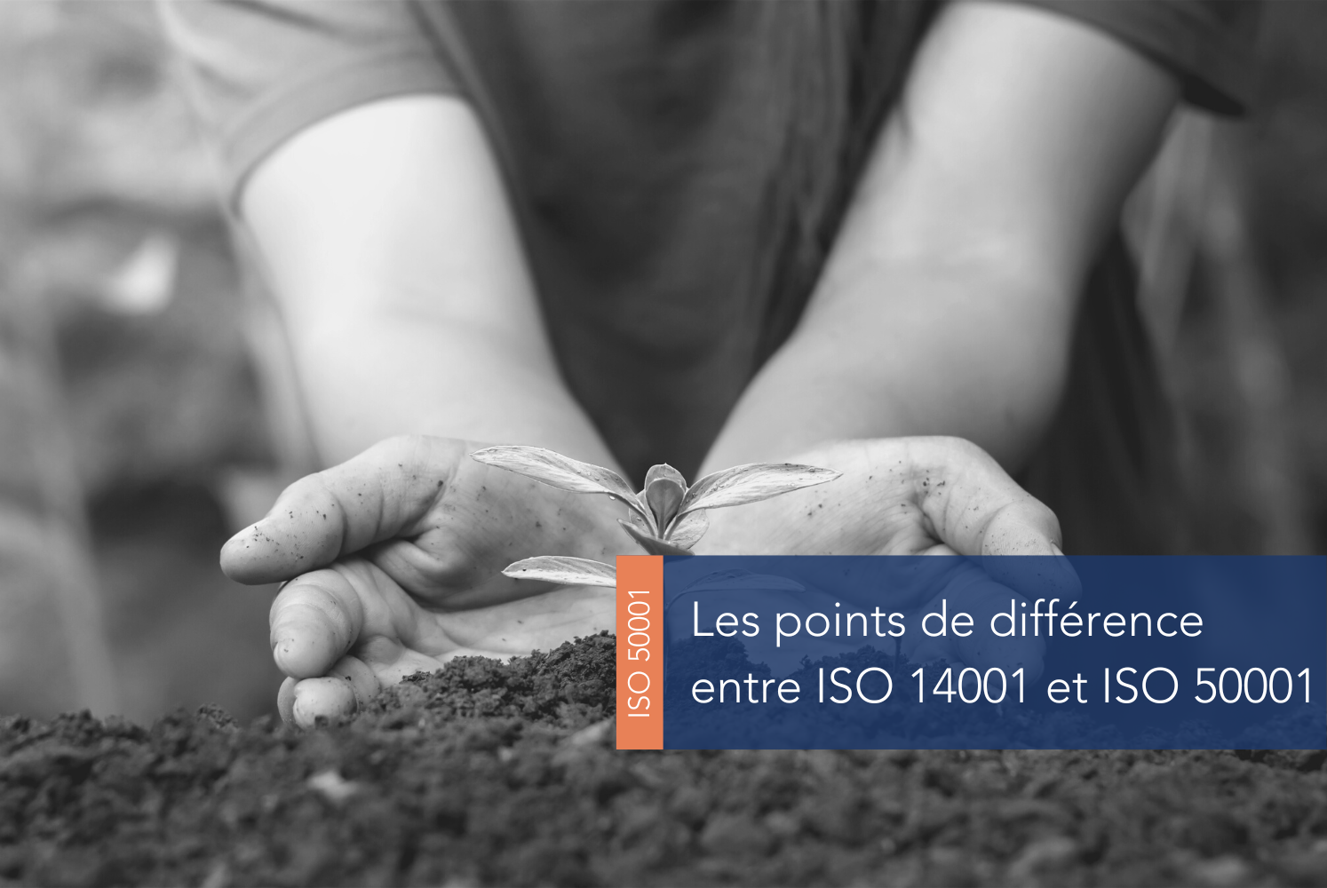 Les différences entre les normes ISO 14001 et ISO 50001
