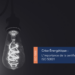 Une ampoule illuminée dans le noir