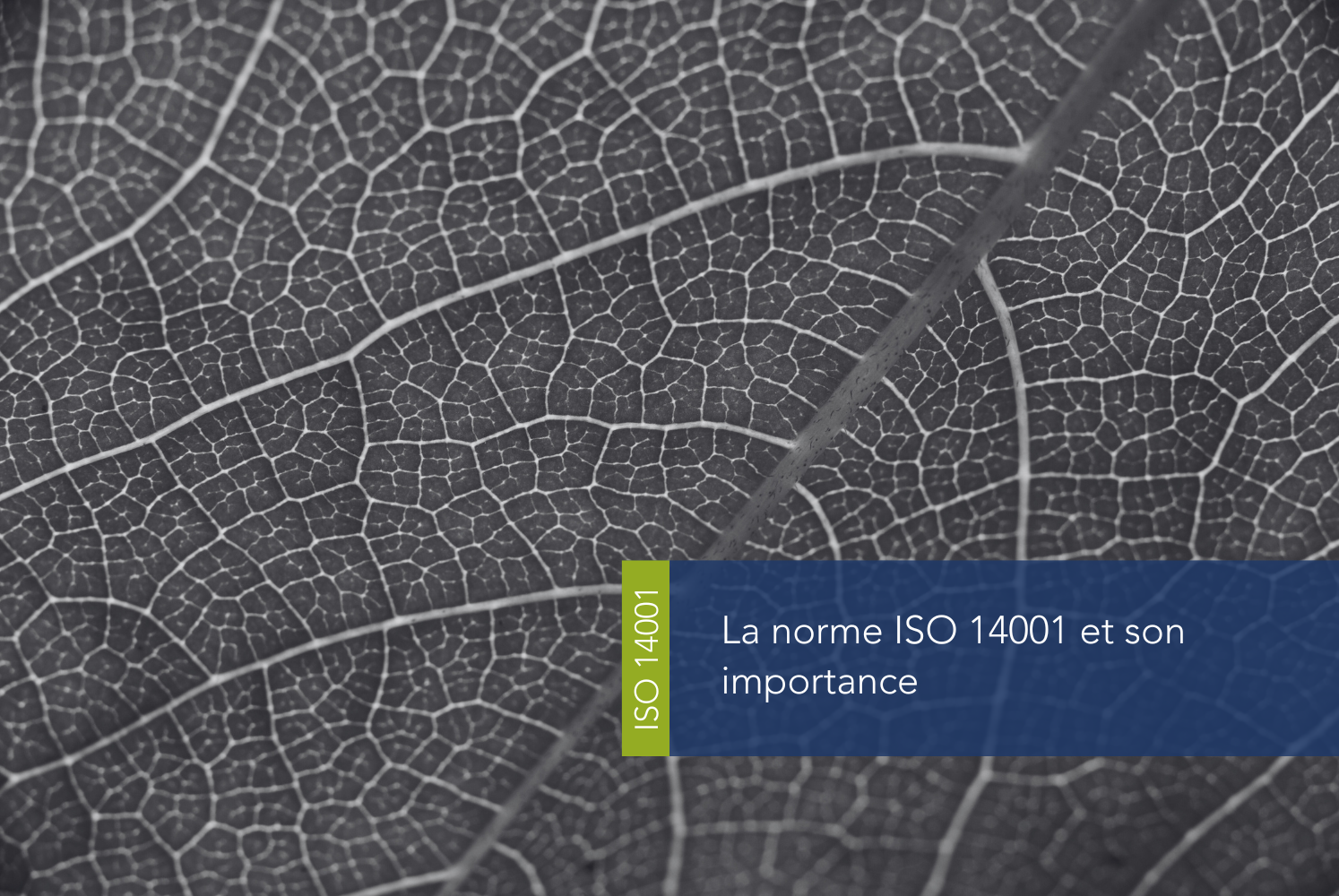 La norme ISO 14001 et son importance