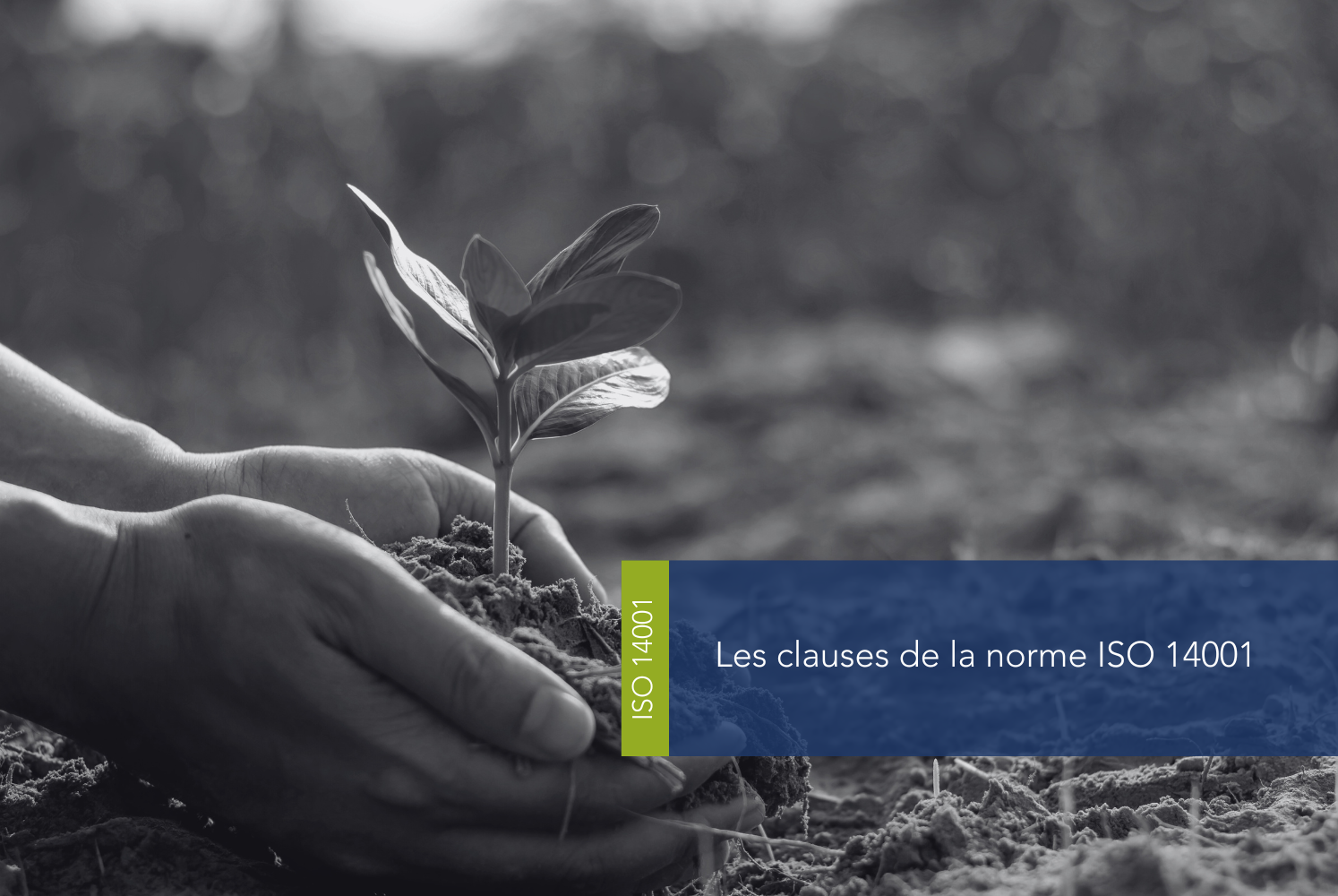 Quelles sont les 10 clauses de la norme ISO 14001 ?