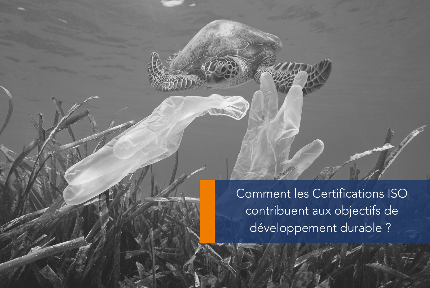 Comment les certifications ISO contribuent aux objectifs de développement durable ?