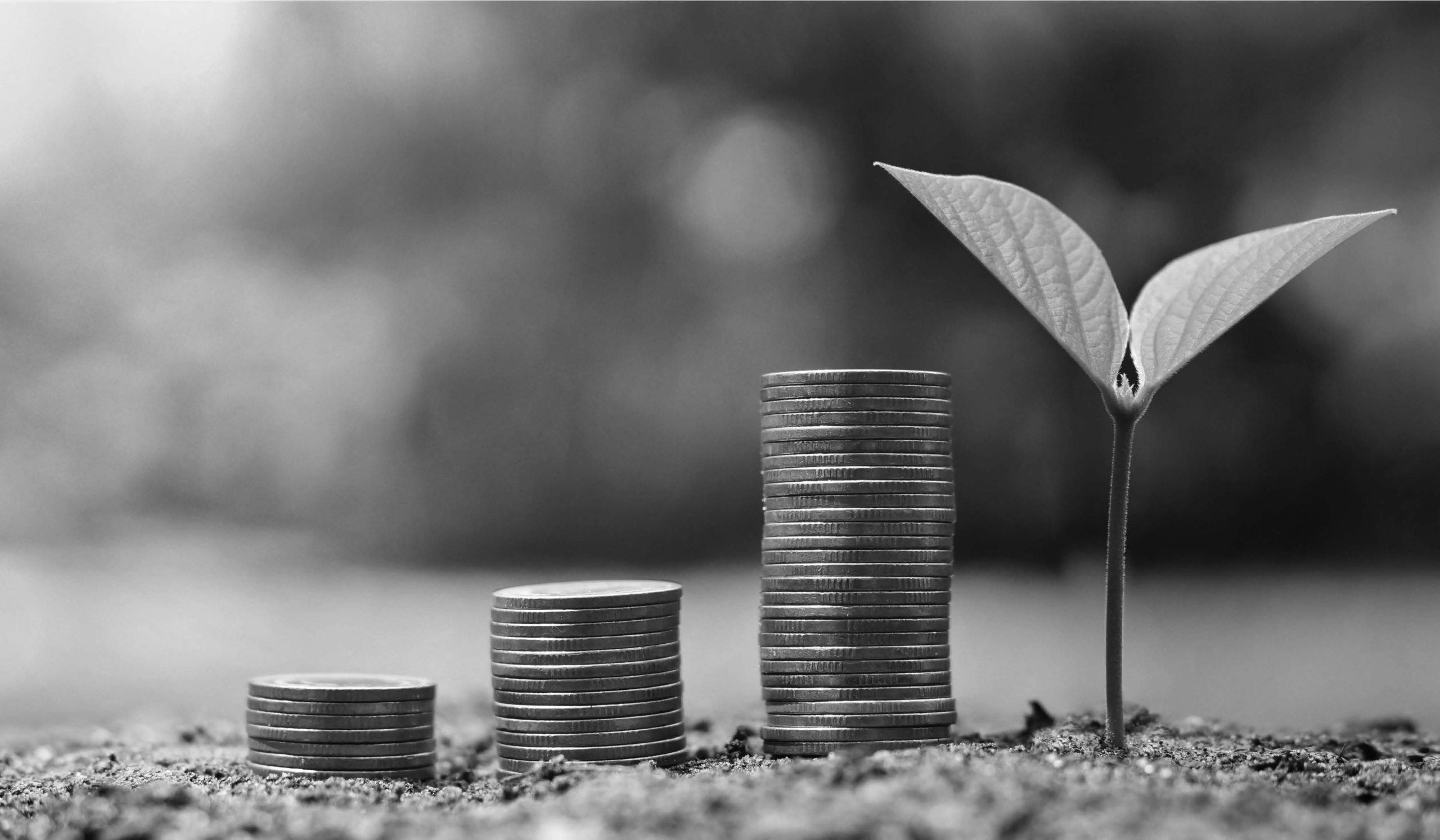 QSE et RSE : Les différences stratégiques pour un impact durable