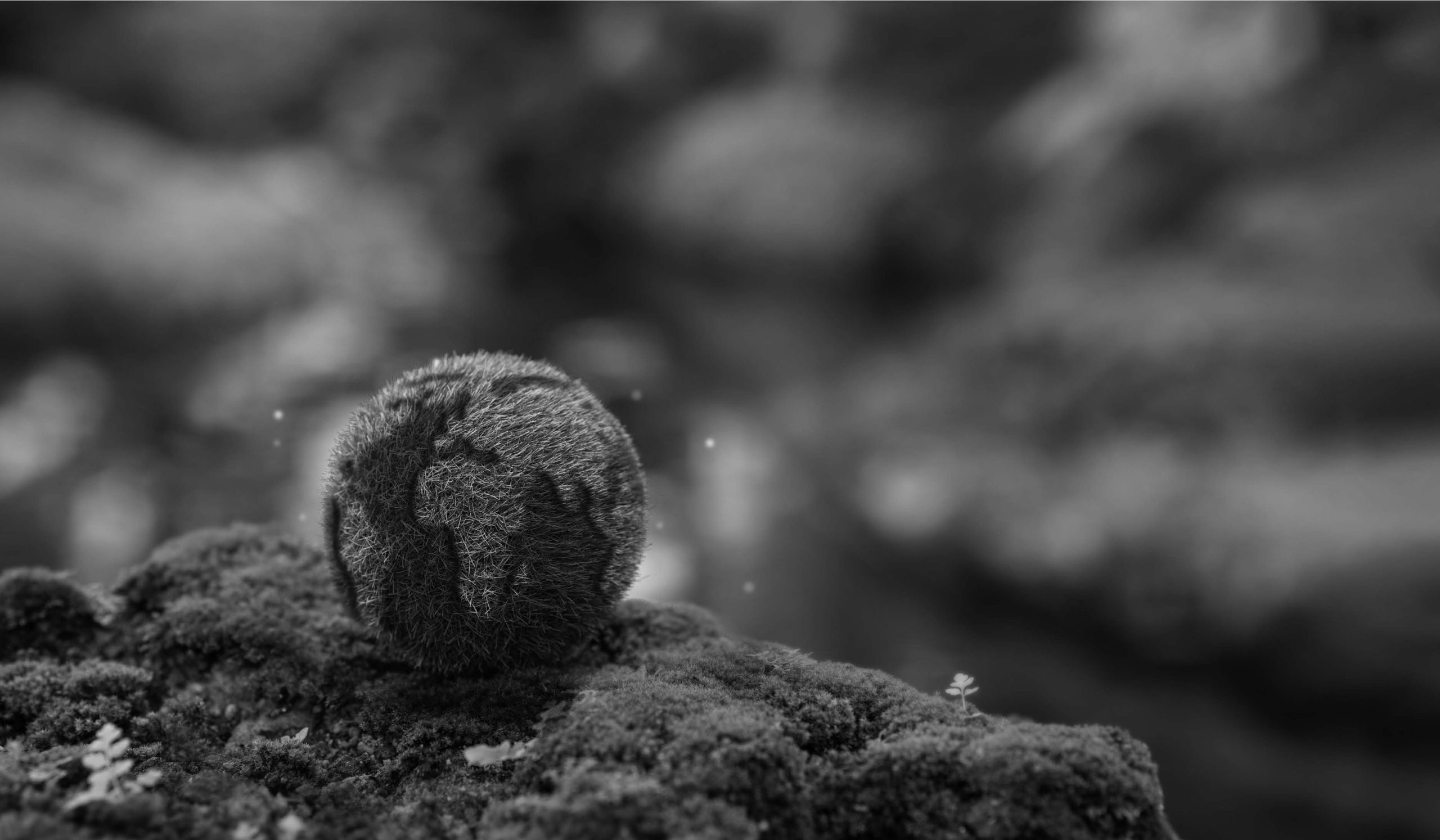 Atteindre la neutralité climatique grâce à ISO 14001