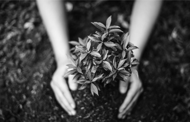 Comment les certifications ISO contribuent aux objectifs de développement durable ?