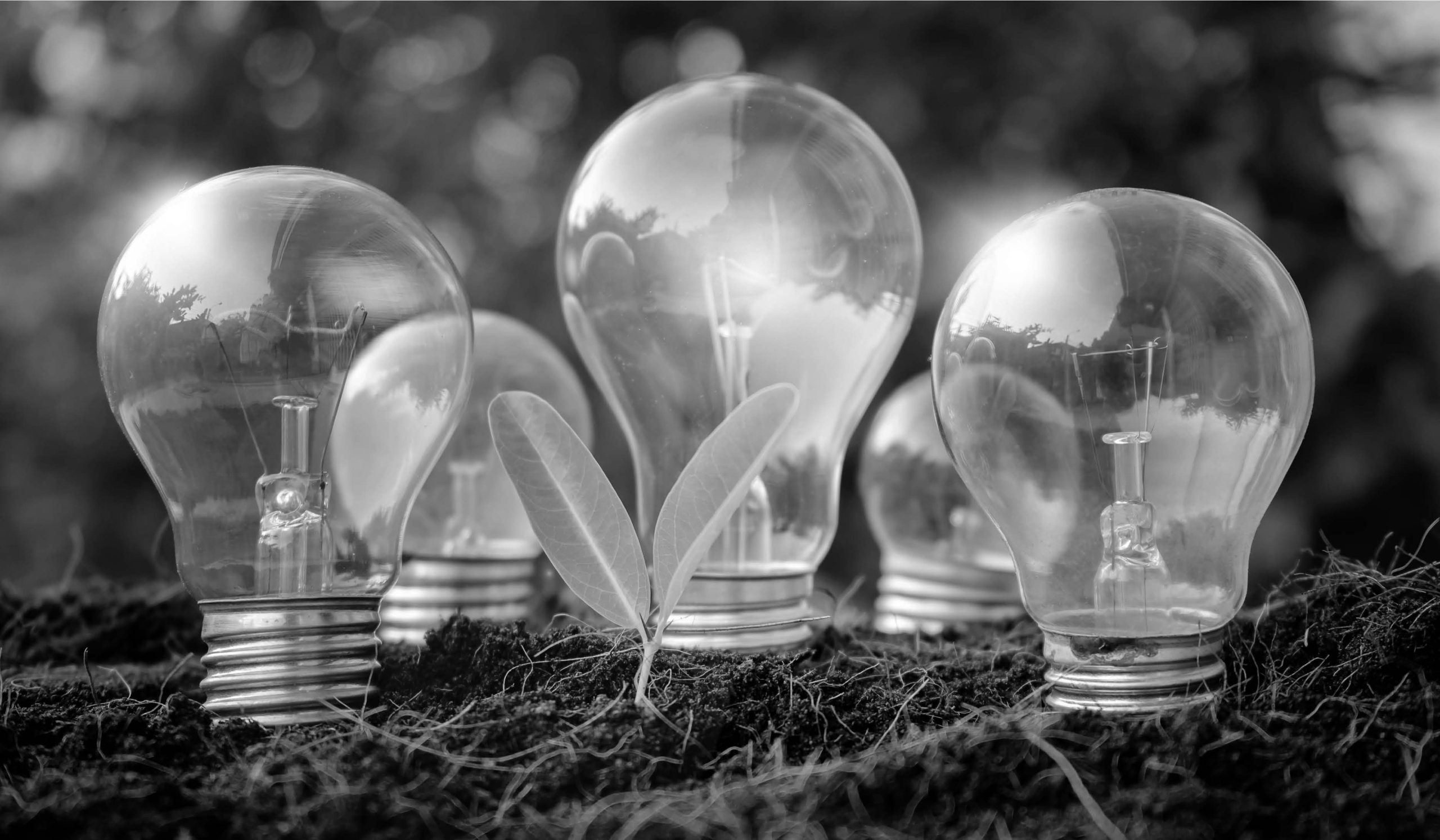 Les différences entre les normes ISO 14001 et ISO 50001