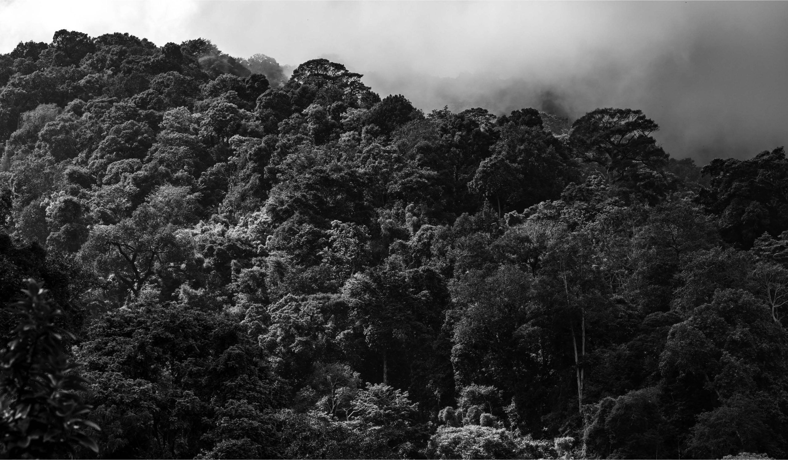 La norme ISO 14001 et son importance